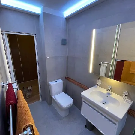 Le Petit Leisure Apartment *